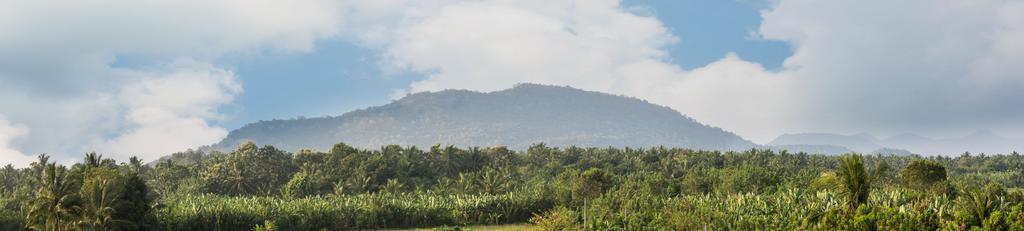 The Coconut Gardens Hotel & Restaurant Tissamaharama Bagian luar foto